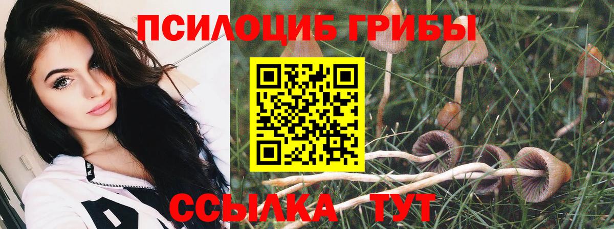 Псилоцибиновые грибы GOLDEN TEACHER Изобильный