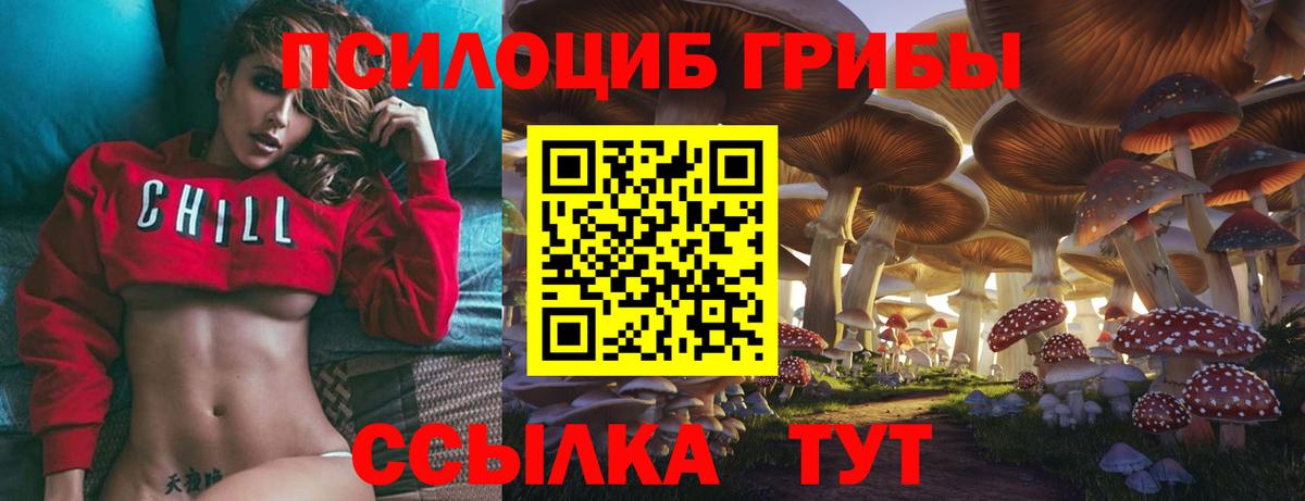 как найти закладки  Псилоцибиновые грибы Magic Shrooms  Изобильный  Вход с VPN  Псилоцибиновые грибы Cubensis 